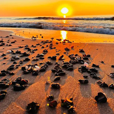 Port Pink&blue Podczele - 404 Golden Wings *