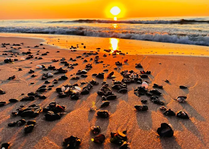 Port Pink&blue Podczele - 404 Golden Wings *